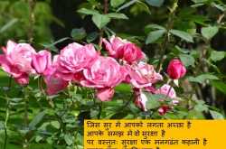 डर के आगे जीत  है 