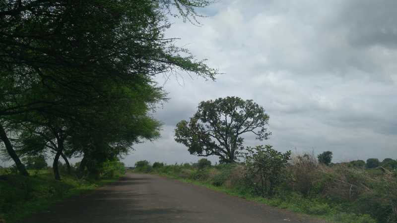 मार्गस्थ - प्रवास