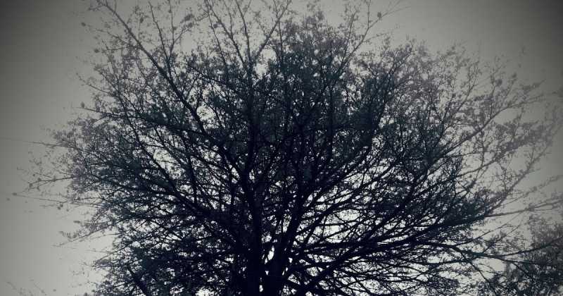 हाँ मैं लिखता हूँ...