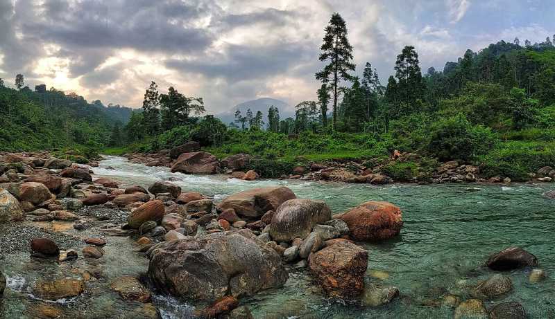 নাম তার লালিগুরাস