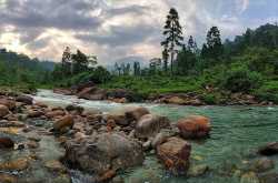 নাম তার লালিগুরাস