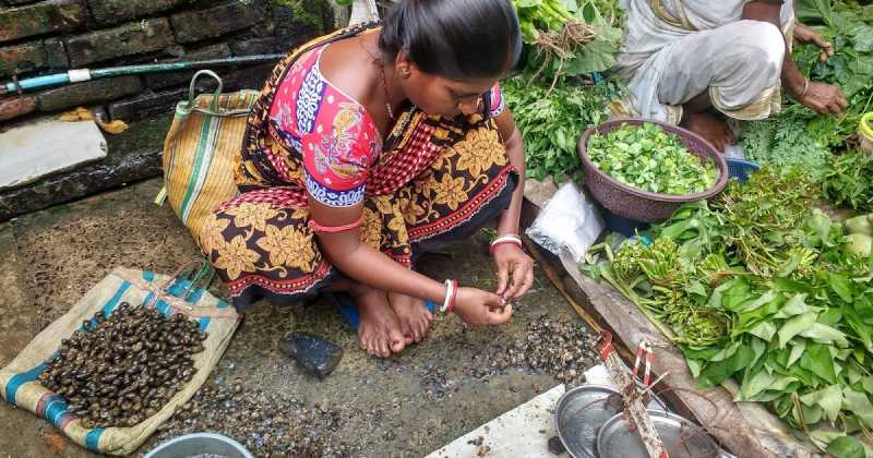গেড়ি গুগলির সহবাস