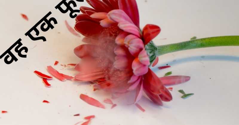 वह एक फूल .........