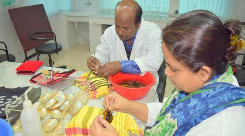 ঝিনুক থেকে উৎপাদিত হচ্ছে মুক্তা |