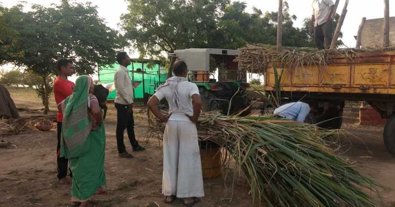 पांडुरंग करो आणि पाऊस पडो...