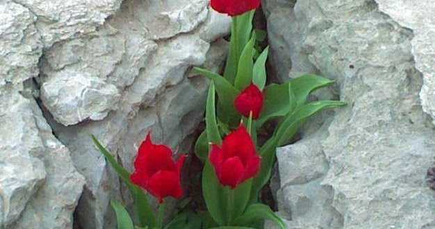 à¤à¤¾à¤¤ à¤¨ à¤ªà¥à¤à¥ à¤¸à¤¾à¤§à¥ à¤à¥ ,à¤à¤¾à¤¤ à¤¨ à¤ªà¥à¤à¥ à¤à¤°à¥à¤¬ à¤à¥ 