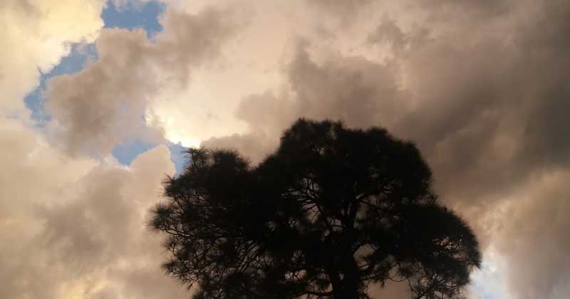 तृष्णा का उपचार क्या हैं...?