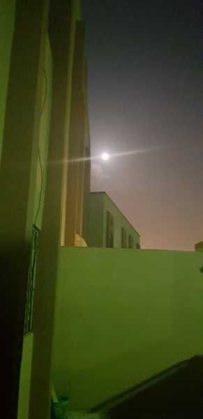 ભાદરવી પૂનમ