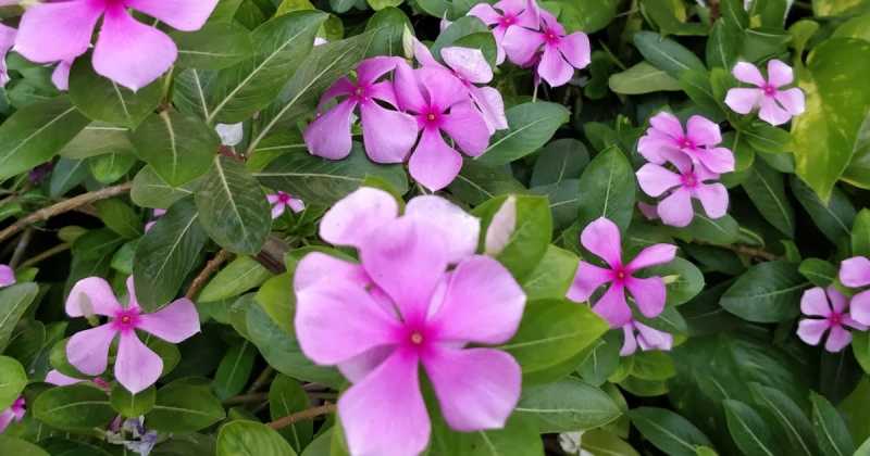 जो बीत गया