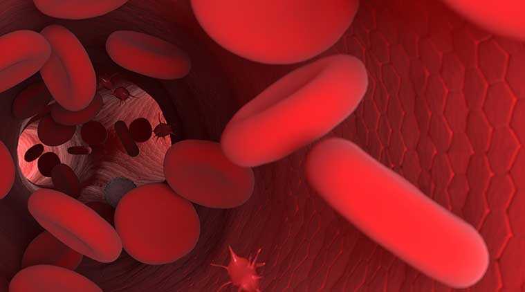 à¤¹à¥à¤®à¥à¤à¥à¤²à¥à¤¬à¤¿à¤¨ à¤à¥à¤¯à¤¾ à¤¹à¥?