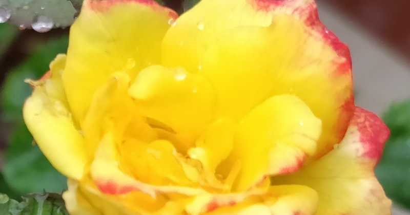 कुछ आदतें 