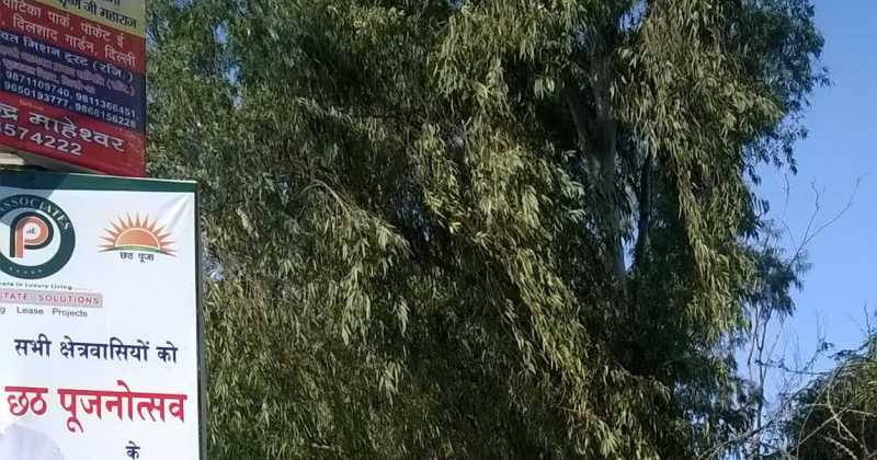 बैन करेगा क्या /  ख़ुद क़िताब हो लें