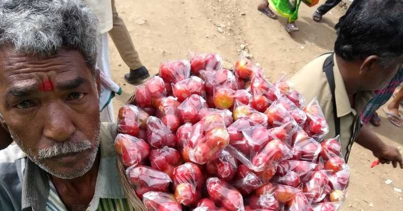 मॉनसून के मौसम में मैजिक मशरूम की तलाश