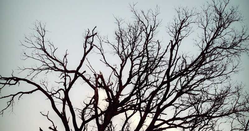 मुझसे यकीन बनकर तू लिपट क्यो नही जाता.....