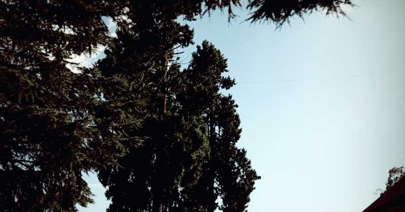 मुझसे हो नही पाया तुम कर नही सकते.....