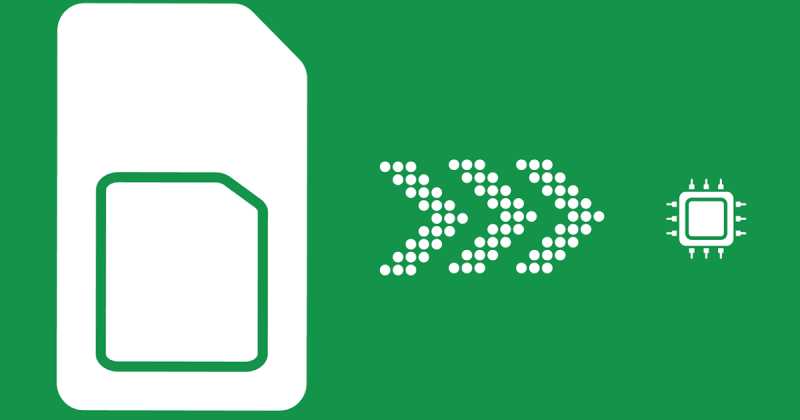 ಸಿಮ್ ಕಾರ್ಡಿನ ಇ-ಅವತಾರ