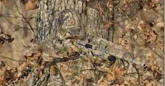 एक  स्नाइपर द्वारा फायरिंग पोजीशन का चुनाव करना 