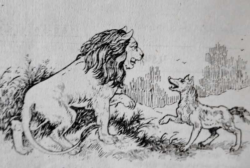 પડઘા વિશે - દલપતરામ