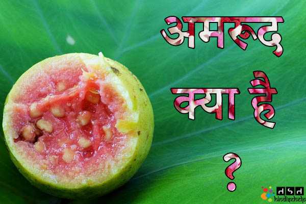 अमरूद क्या होता है ? अमरूद खाने के फायदे और नुकसान | अमरूद खाने का सही समय