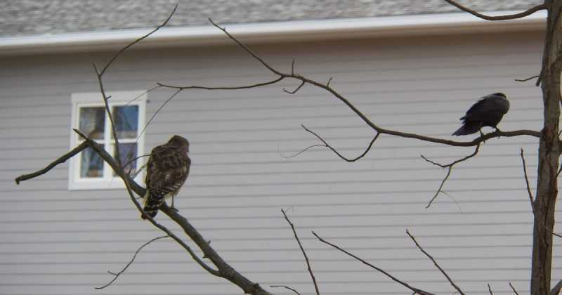 व्यथा कथा - एक गीत
