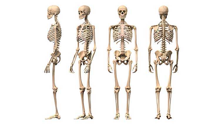 à¤à¤¸à¥à¤à¤¿à¤¯à¥à¤ªà¥à¤¨à¤¿à¤¯à¤¾ à¤à¥à¤¯à¤¾ à¤¹à¥à¤¤à¤¾ à¤¹à¥?