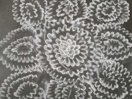 बोट याने पसरवलेली रांगोळी