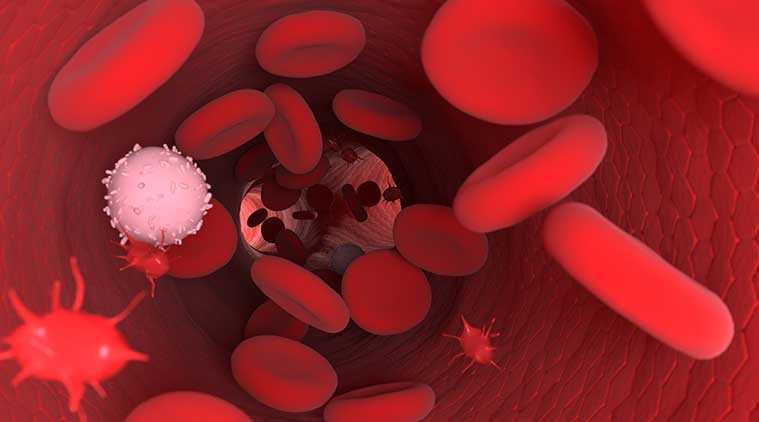 à¤¬à¥à¤²à¤¡ à¤ªà¥à¤²à¤¾à¤à¥à¤®à¤¾ à¤à¥à¤¯à¤¾ à¤¹à¥?