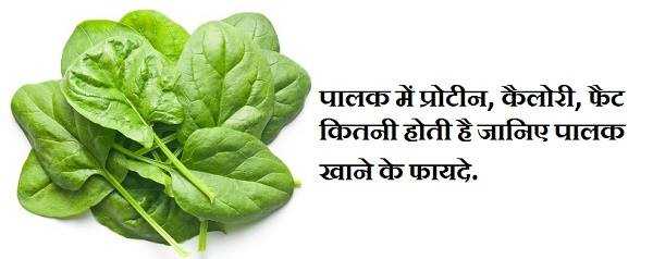 पालक खाने के फायदे और कितना प्रोटीन होता है