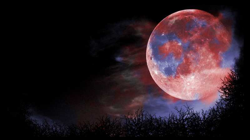 इस रात का साथी है