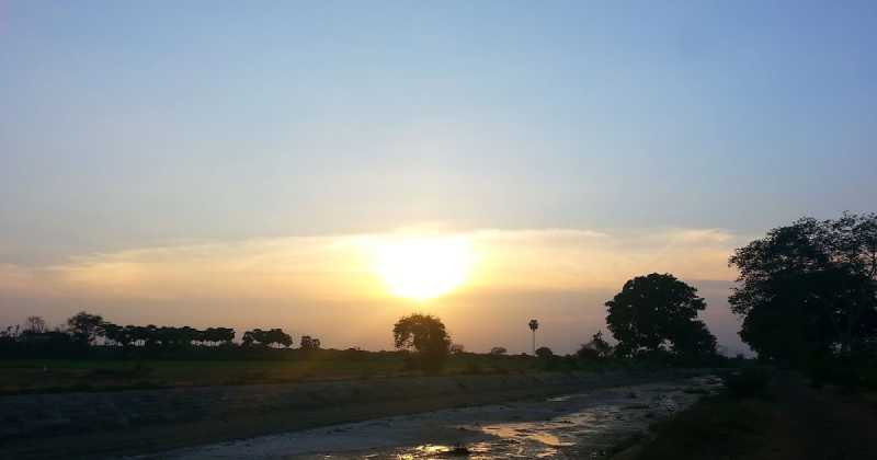 தலை வலிக்கிறது