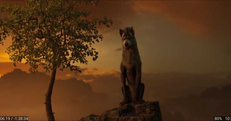 आदिवासियत को महसूस कराती जंगली कहानी