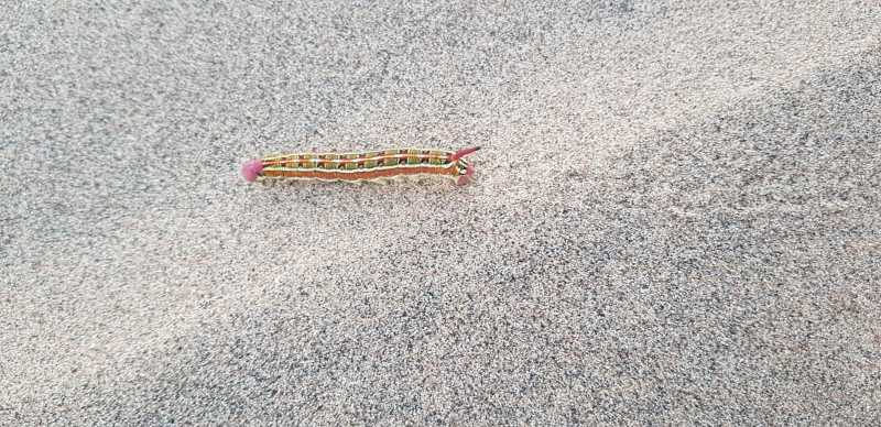 પ્રકૃતિ અને સર્જન