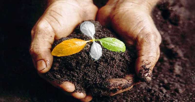 समय के अलसाये प्रवाह में तैरता हुआ…