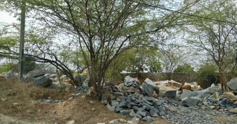 सूरज कुंड मेले में बिताया कुछ वक्त 