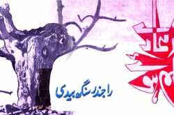 ہاتھ ہمارے قلم ہوئے - راجندر سنگھ بیدی - افسانوں کا مجموعہ - پی۔ڈی۔ایف ڈاؤن لوڈ