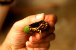 आयुष्यातलं पान…