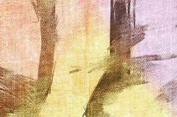 ईनारदाना 