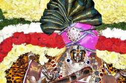 ஆருத்ரா தரிசனம் 