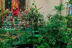 पौधों की सिंचाई -बागवानी की एक खूबसूरत कला  - बागवानी मन्त्र 