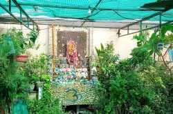 बागवानी के इच्छुक हैं तो -यही समय है -शुरू हो जाइये 