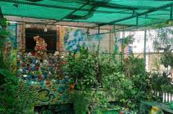 गर्मियों में गमलों के पौधों के लिए बरती जाने वाली विशेष बातें : बागवानी मन्त्र 