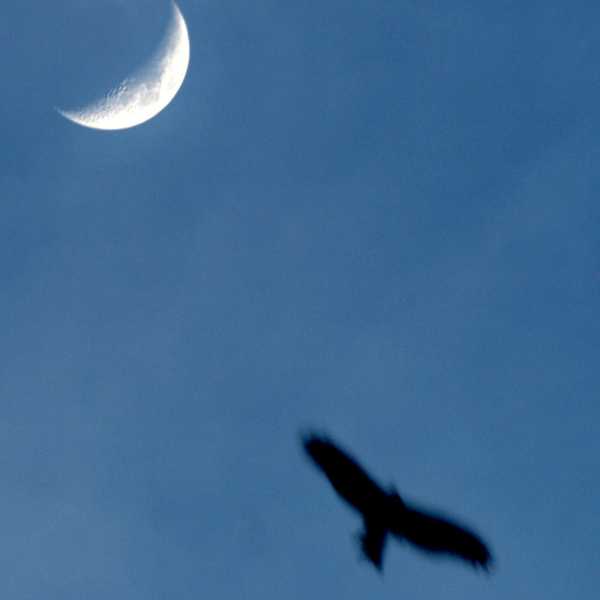 कृपा, सामर्थ्य आणि ज्ञानाचा त्रिवेणी संगम