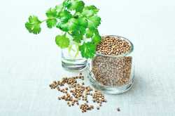 घरेलू धनिये के सर्वश्रेष्ठ औषधीय फायदे