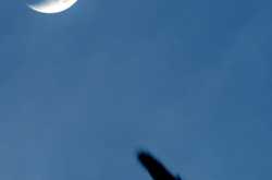 सद्‌गुरुंचे विस्मरण हाच प्रपंच होय