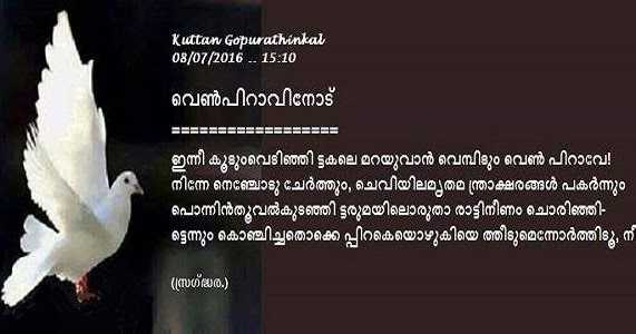 വെൺപിറാവിനോട് 08.07.2016