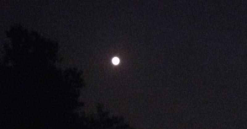 ग्वालियर : #1 दिल्ली से ग्वालियर