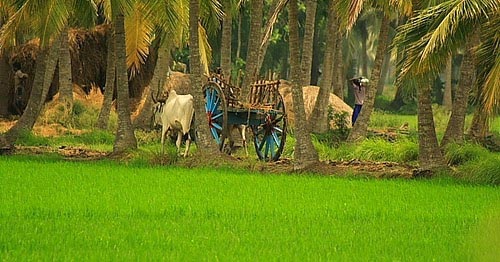 చిరునవ్వుతో - పార్ట్ 1