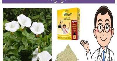 à¤¶à¤à¤à¤ªà¥à¤·à¥à¤ªà¥ à¤à¥ 10 à¤«à¤¾à¤¯à¤¦à¥, à¤¨à¥à¤à¤¸à¤¾à¤¨ à¤à¤° à¤à¤°à¥à¤²à¥ à¤¨à¥à¤¸à¥à¤à¥