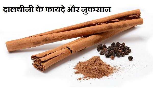 दालचीनी के 10 फायदे और नुकसान