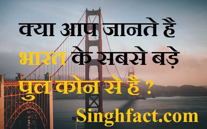 भारत देश के 10 सबसे बड़े पुल | The Longest Bridge In India | सबसे बड़े पुल ??
